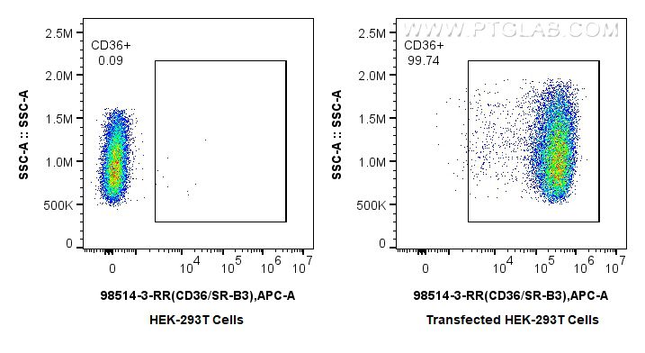 FC experiment of Transfected HEK-293T using 98514-3-RR FC experiment of Transfected HEK-293T using 98514-3-RR