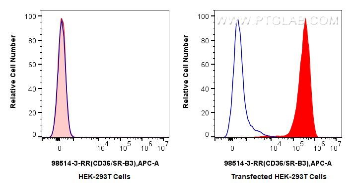 FC experiment of Transfected HEK-293T using 98514-3-RR FC experiment of Transfected HEK-293T using 98514-3-RR
