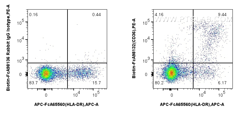 1x10^6 human PBMCs were surface stained with 0.25 ug Biotin Anti-Human CD36 Rabbit RecAb (Biotin-FcA98132, Clone: 241262D5) or FcZero-rAb™ Biotin Rabbit IgG Isotype Control Recombinant Antibody (<a class='green' href='/productredirect?CatalogNo=Biotin-FcA98136' target='_blank'>Biotin-FcA98136</a>, Clone: 240953C9), and Streptavidin-PE Conjugate (<a class='green' href='/productredirect?CatalogNo=PE-PF00030' target='_blank'>PE-PF00030</a>). Cells were co-stained with FcZero-rAb™ APC Anti-Human HLA-DR (L243) Rabbit IgG Recombinant Antibody (<a class='green' href='/productredirect?CatalogNo=APC-FcA65560' target='_blank'>APC-FcA65560</a>, Clone: L243). Cells were not fixed. FC experiment of human PBMCs using Biotin-FcA98132