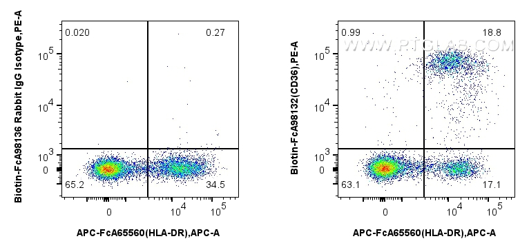 FC experiment of human PBMCs using Biotin-FcA98132