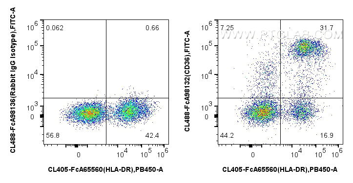 FC experiment of human PBMCs using CL488-FcA98132 FC experiment of human PBMCs using CL488-FcA98132