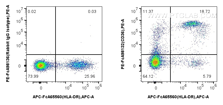 FC experiment of human PBMCs using PE-FcA98132