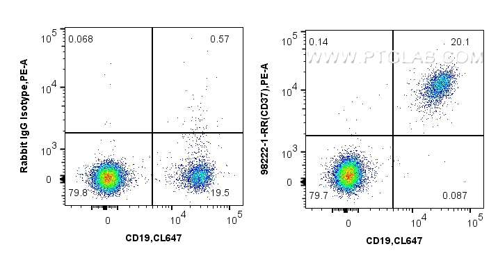 FC experiment of human PBMCs using 98222-1-RR (same clone as 98222-1-PBS) FC experiment of human PBMCs using 98222-1-RR (same clone as 98222-1-PBS)