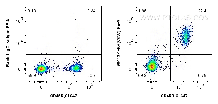 1x10^6 mouse splenocytes were surface stained with 0.25 ug Anti-Mouse CD37 Rabbit RecAb (<a class='green' href='/productredirect?CatalogNo=98443-1-RR' target='_blank'>98443-1-RR</a>, Clone: 250262E4) or 0.25 ug Rabbit IgG Isotype Control RecAb (<a class='green' href='/productredirect?CatalogNo=98136-1-RR' target='_blank'>98136-1-RR</a>, Clone: 240953C9), and PE-Conjugated Goat Anti-Rabbit IgG(H+L). Cells were then stained with CoraLite® Plus 647 Anti-Mouse CD45R (B220) (RA3-6B2) (<a class='green' href='/productredirect?CatalogNo=CL647-65139' target='_blank'>CL647-65139</a>, Clone: RA3-6B2). Cells were not fixed. This data was developed using the same antibody clone with 98443-1-PBS in a different storage buffer formulation. FC experiment of mouse splenocytes using 98443-1-RR (same clone as 98443-1-PBS)