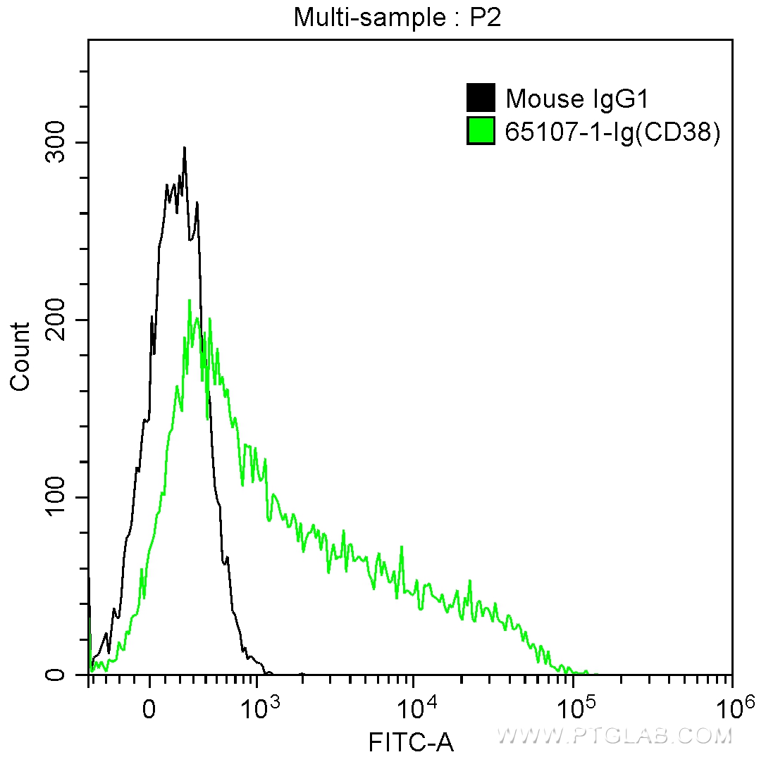 FC experiment of human peripheral blood lymphocytes using 65107-1-Ig