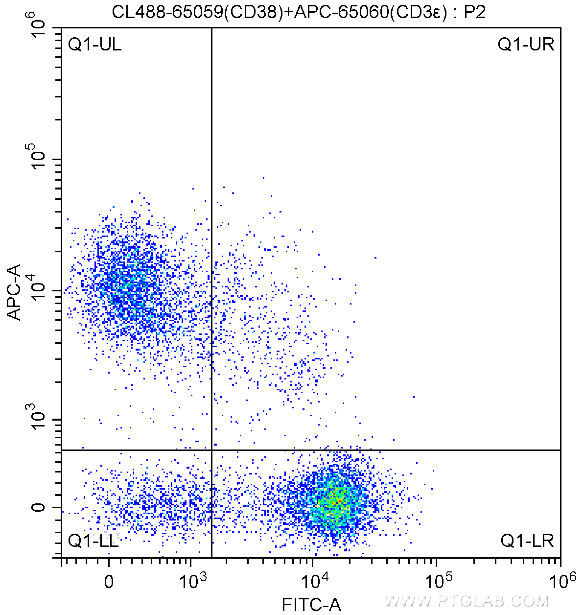 FC experiment of mouse splenocytes using CL488-65059