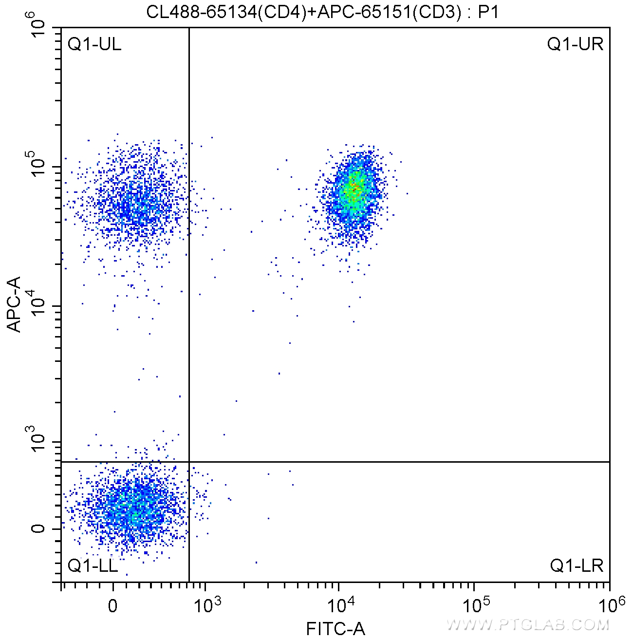 FC experiment of human peripheral blood lymphocytes using CL488-65134