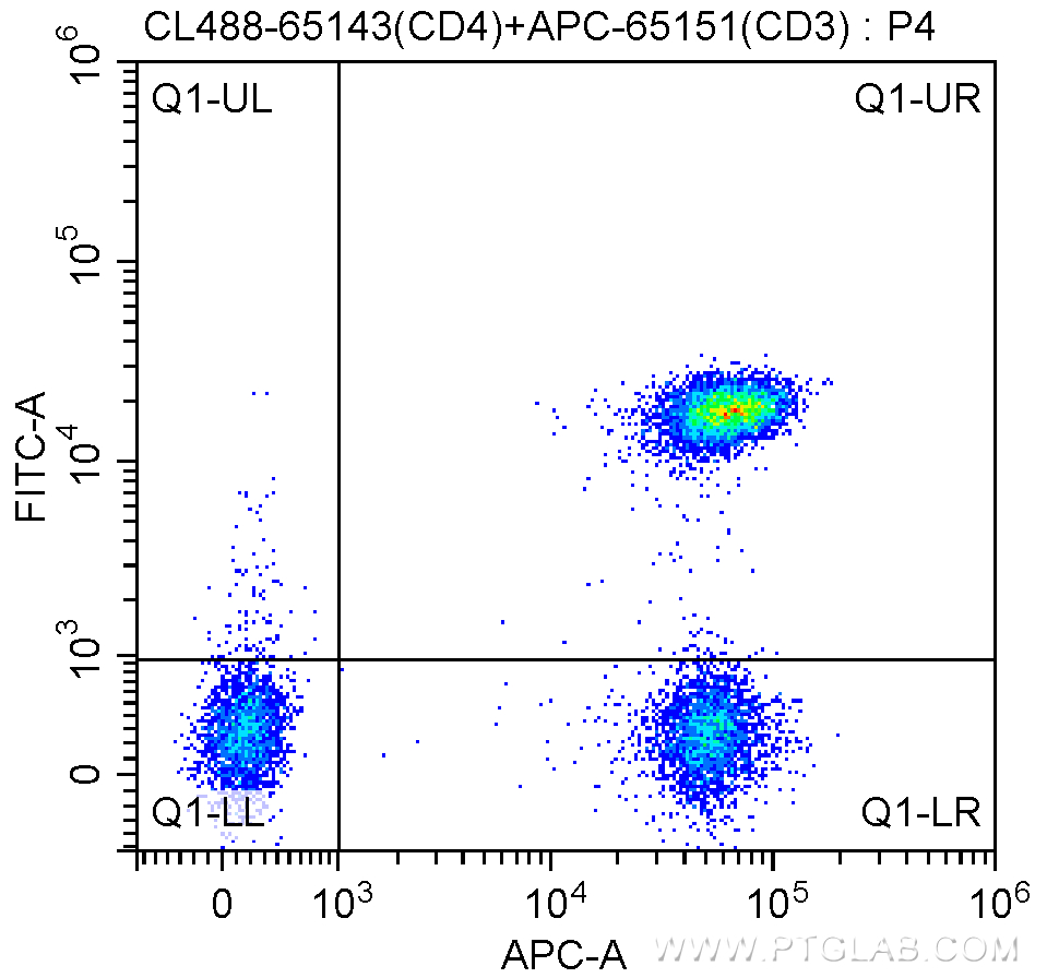 FC experiment of human peripheral blood lymphocytes using CL488-65143