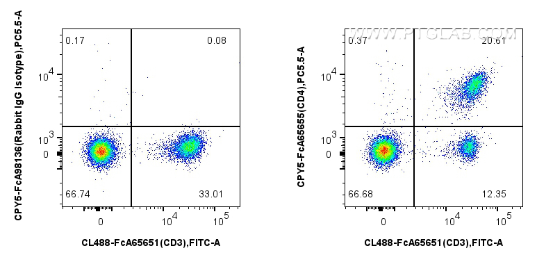 FC experiment of mouse splenocytes using CPY5-FcA65655
