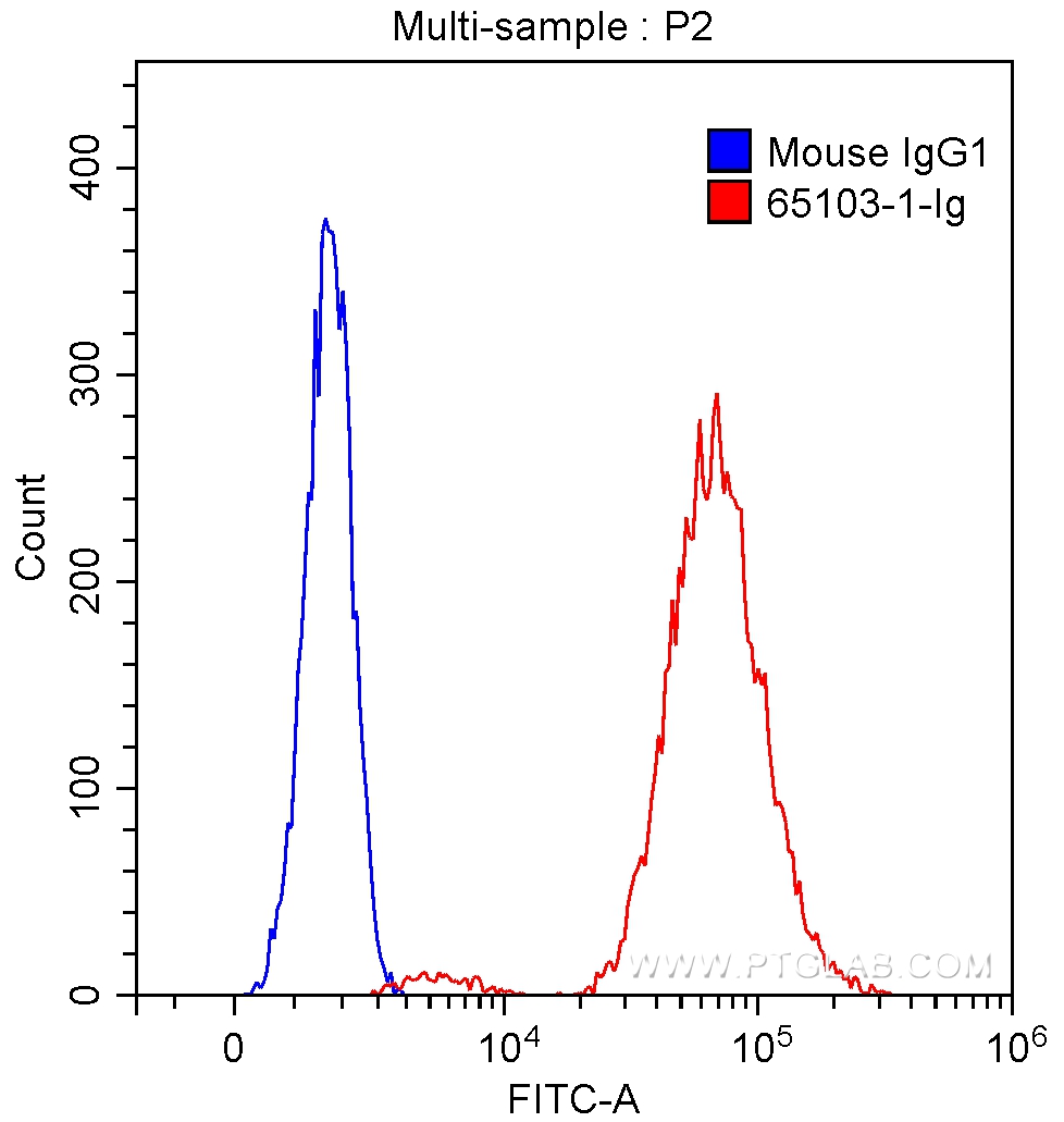 CD40