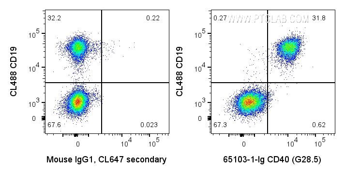 FC experiment of human PBMCs using 65103-1-Ig (same clone as 65103-1-PBS)