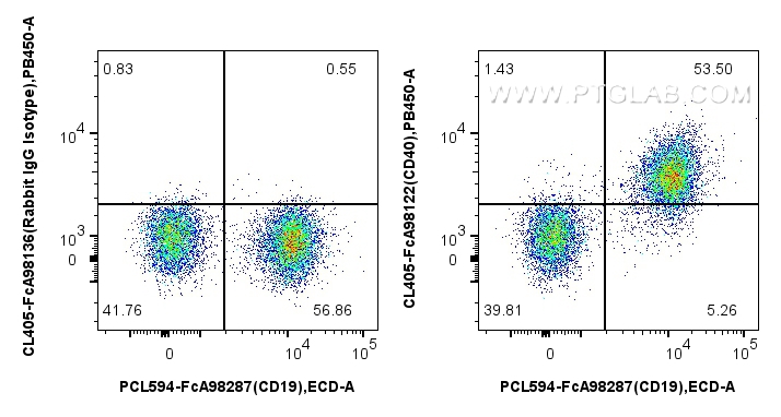FC experiment of mouse splenocytes using CL405-FcA98122