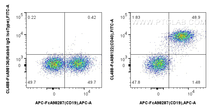 FC experiment of mouse splenocytes using CL488-FcA98122