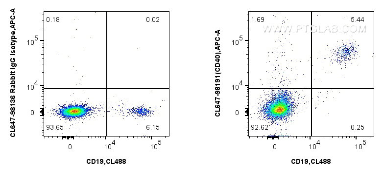 1x10^6 human PBMCs were surface stained with CoraLite® Plus 488 Anti-Human CD19 (4G7) Mouse IgG2a Recombinant Antibody (<a class='green' href='/productredirect?CatalogNo=CL488-65562' target='_blank'>CL488-65562</a>, Clone: 4G7), and 5 ul CoraLite® Plus 647 Anti-Human CD40 Rabbit RecAb (CL647-98191, Clone: 241760A9) or CoraLite® Plus 647 Rabbit IgG Isotype Control RecAb (<a class='green' href='/productredirect?CatalogNo=CL647-98136' target='_blank'>CL647-98136</a>, Clone: 240953C9). Cells were not fixed. FC experiment of human PBMCs using CL647-98191