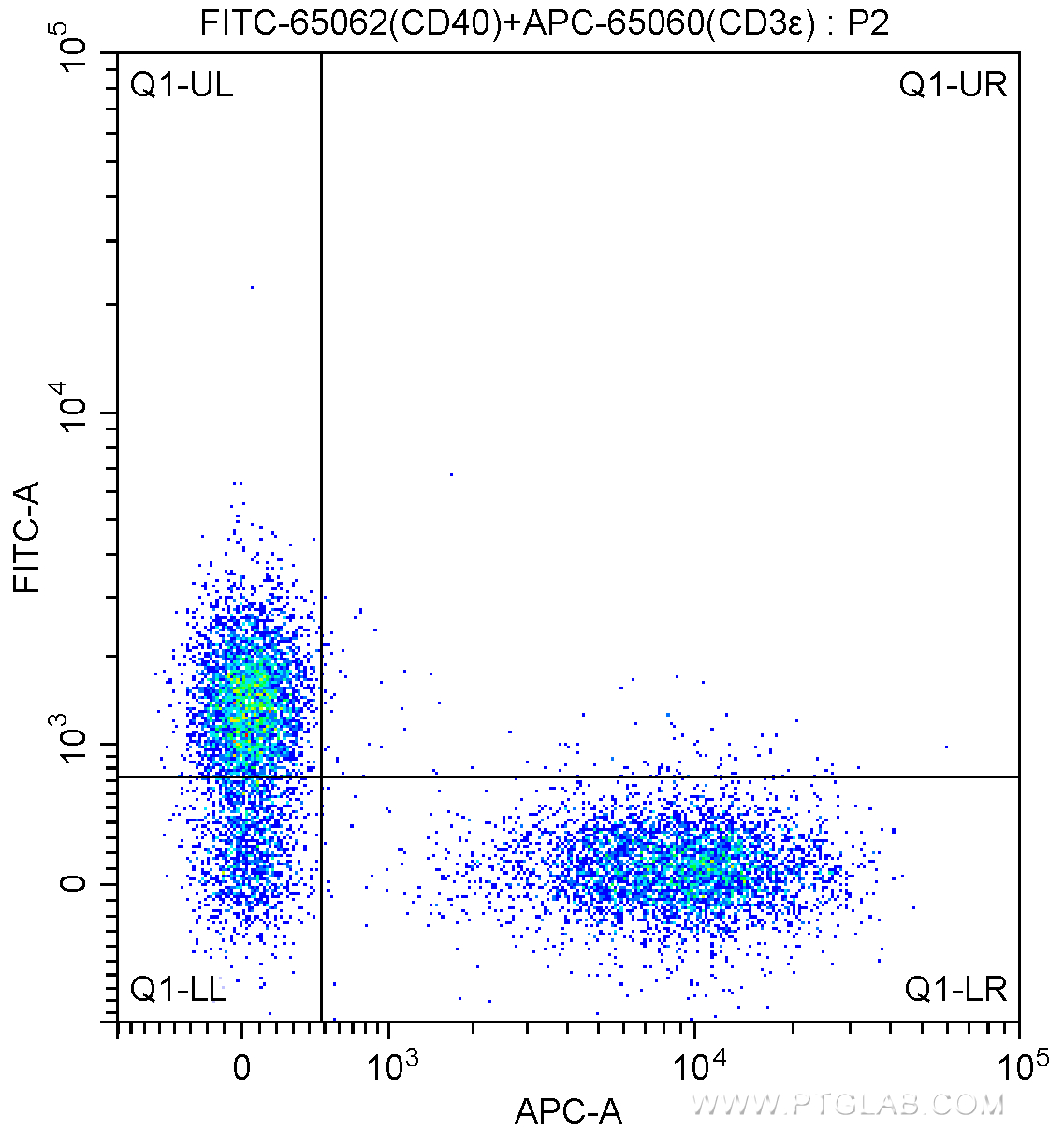 FC experiment of BALB/c mouse splenocytes using FITC-65062