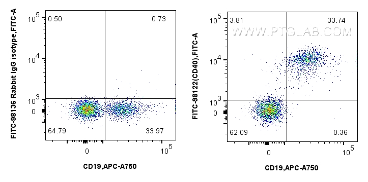 FC experiment of mouse splenocytes using FITC-98122