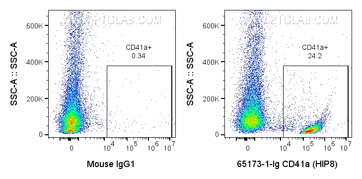 FC experiment of human peripheral blood using 65173-1-Ig
