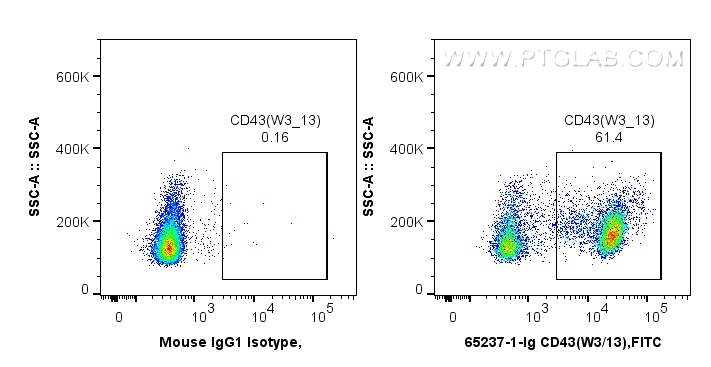 FC experiment of wistar rat splenocytes using 65237-1-Ig