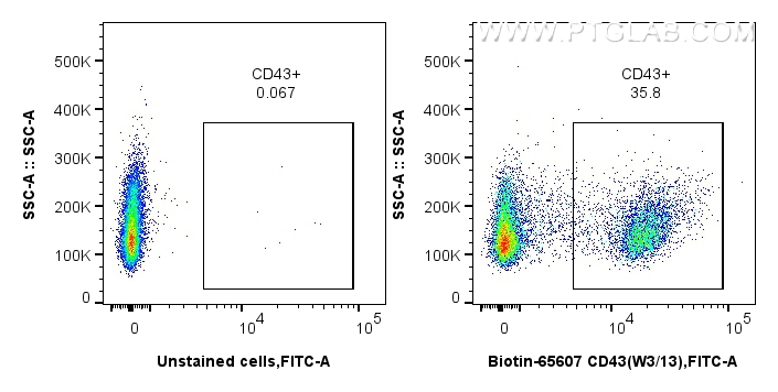 FC experiment of rat splenocytes using Biotin-65607