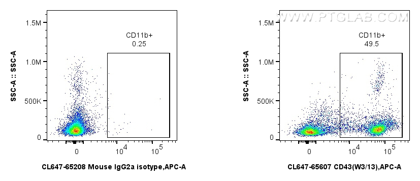 FC experiment of rat splenocytes using CL647-65607