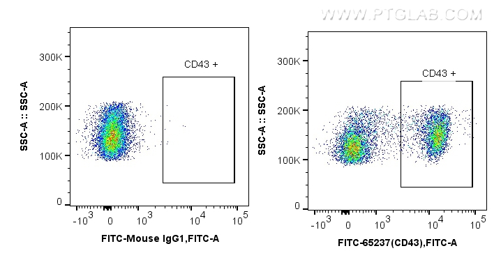FC experiment of wistar rat splenocytes using FITC-65237