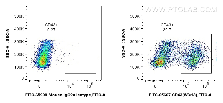 1x10^6 rat splenocytes were surface stained with 0.25 ug FITC Plus Anti-Rat CD43 (W3/13) Mouse IgG2a RecAb (FITC-65607, Clone: W3/13) or FITC Plus Mouse IgG2a Isotype Control (C1.18.4) (<a class='green' href='/productredirect?CatalogNo=FITC-65208' target='_blank'>FITC-65208</a>, Clone: C1.18.4). Cells were not fixed. FC experiment of rat splenocytes using FITC-65607