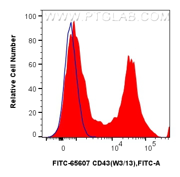 1x10^6 rat splenocytes were surface stained with 0.25 ug FITC Plus Anti-Rat CD43 (W3/13) Mouse IgG2a RecAb (FITC-65607, Clone: W3/13) (red) or FITC Plus Mouse IgG2a Isotype Control (C1.18.4) (<a class='green' href='/productredirect?CatalogNo=FITC-65208' target='_blank'>FITC-65208</a>, Clone: C1.18.4) (blue). Cells were not fixed. FC experiment of rat splenocytes using FITC-65607