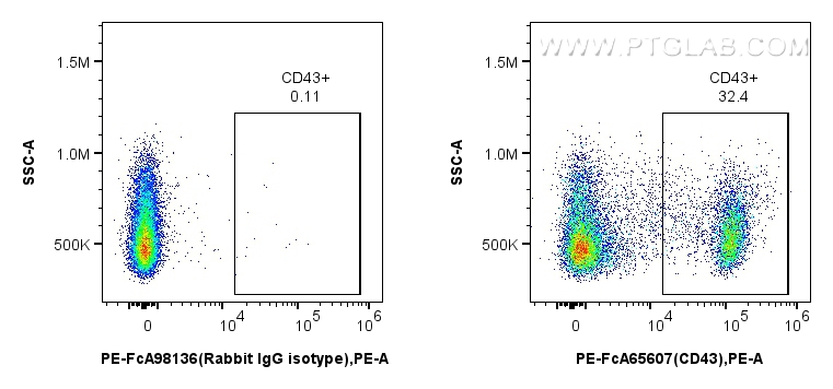 FC experiment of rat splenocytes using PE-FcA65607