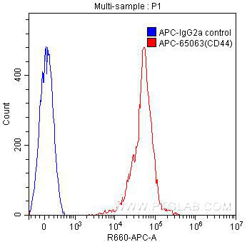 CD44