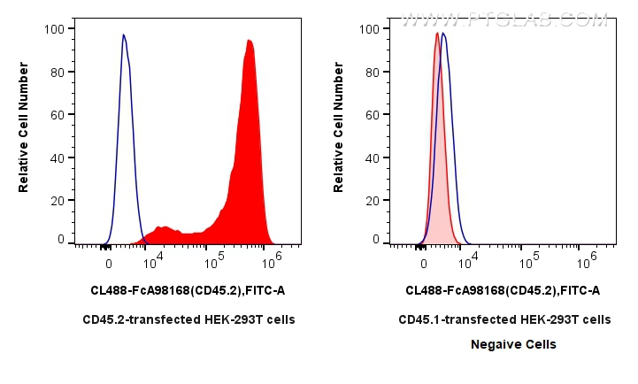 FC experiment of Transfected HEK-293T using CL488-FcA98168 FC experiment of Transfected HEK-293T using CL488-FcA98168