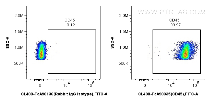 FC experiment of mouse splenocytes using CL488-FcA98035