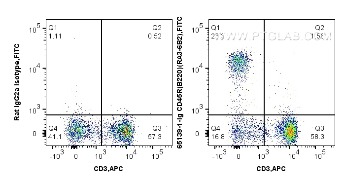 FC experiment of C57BL/c mouse splenocytes using 65139-1-Ig