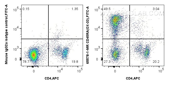 FC experiment of rat splenocytes using 65578-1-MR