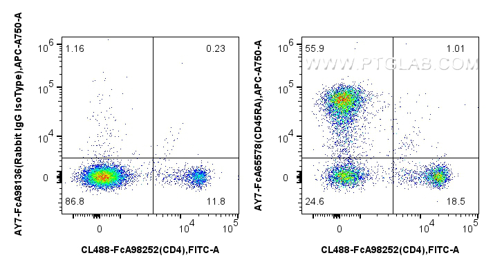 FC experiment of rat splenocytes using AY7-FcA65578
