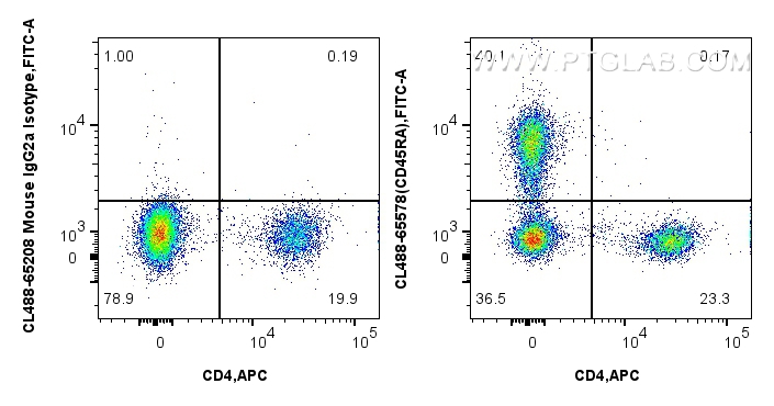 FC experiment of rat splenocytes using CL488-65578