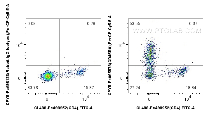 FC experiment of rat splenocytes using CPY5-FcA65578