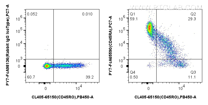 FC experiment of human PBMCs using PY7-FcA65590