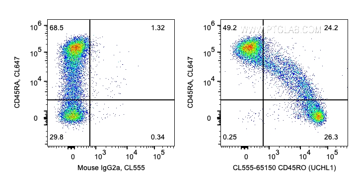 FC experiment of human PBMCs using CL555-65150