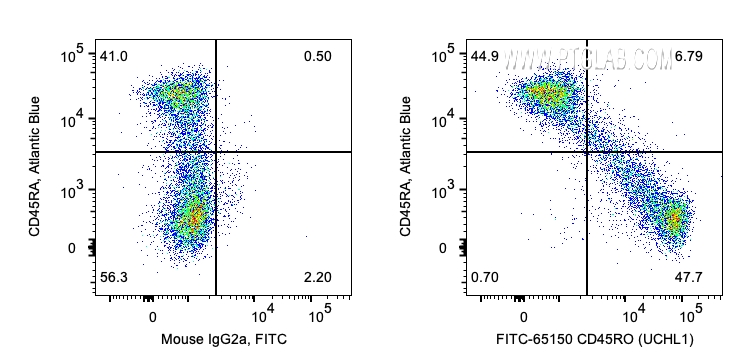FC experiment of human PBMCs using FITC-65150