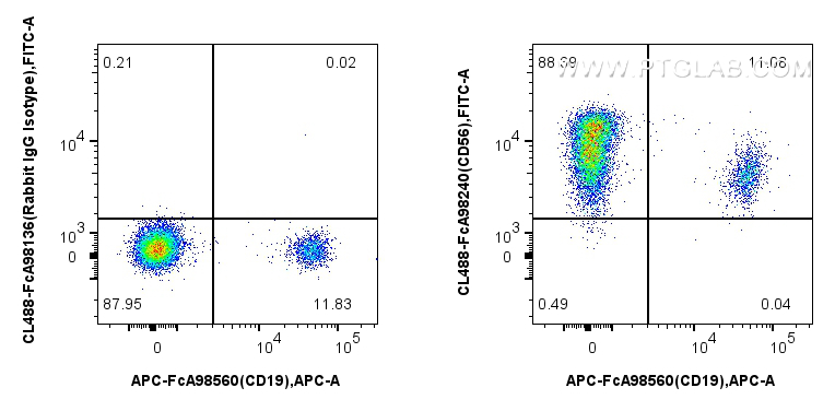 FC experiment of human PBMCs using CL488-FcA98240 FC experiment of human PBMCs using CL488-FcA98240