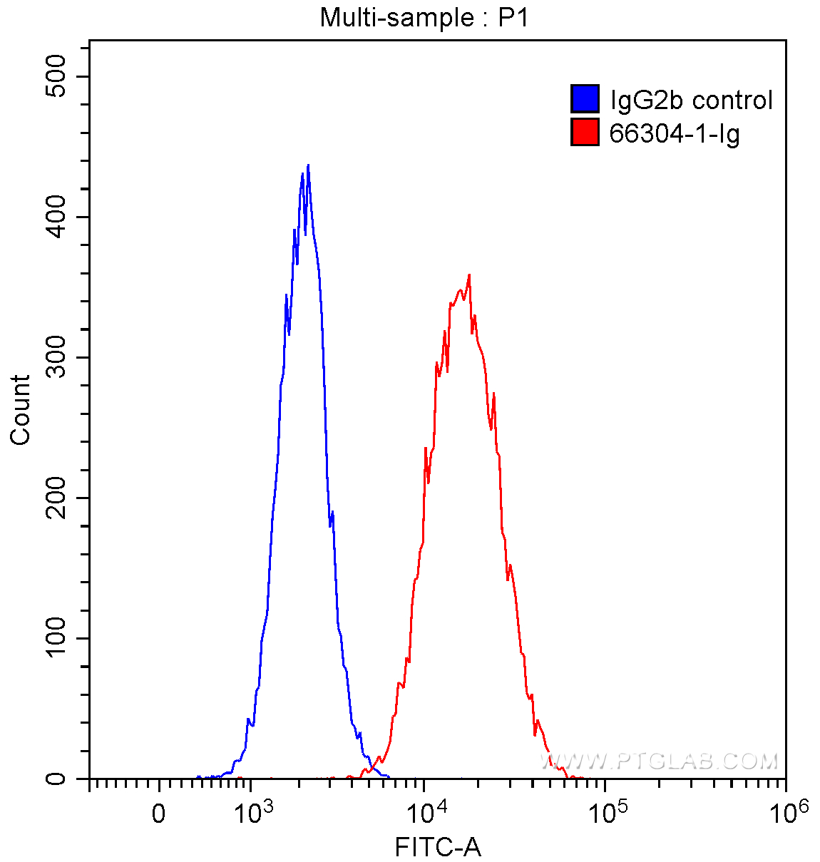 FC experiment of HUVEC using 66304-1-Ig