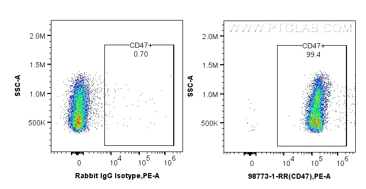 FC experiment of rat splenocytes using 98773-1-RR