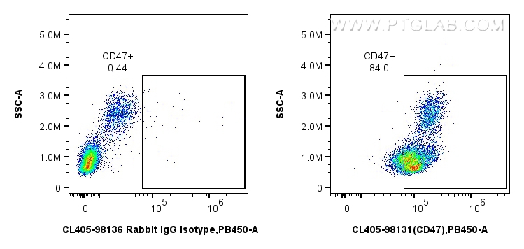 FC experiment of human PBMCs using CL405-98131