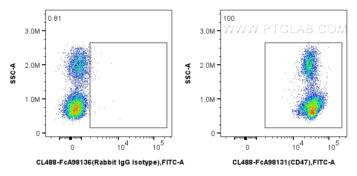 FC experiment of human PBMCs using CL488-FcA98131 FC experiment of human PBMCs using CL488-FcA98131