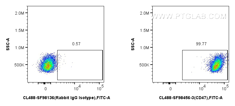 FC experiment of mouse splenocytes using CL488-SF98456-3