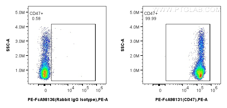 FC experiment of human PBMCs using PE-FcA98131