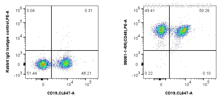 FC experiment of mouse splenocytes using 98081-1-RR (same clone as 98081-1-PBS)