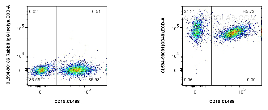 1x10^6 mouse splenocytes were surface stained with CoraLite® Plus 488 Anti-Mouse CD19 (1D3) (<a class='green' href='/productredirect?CatalogNo=CL488-65290' target='_blank'>CL488-65290</a>, Clone: 1D3), and 0.25 ug CoraLite®594 Anti-Mouse CD48 Rabbit RecAb (CL594-98081, Clone: 240732A5) or CoraLite®594 Rabbit IgG Isotype Control RecAb (<a class='green' href='/productredirect?CatalogNo=CL594-98136' target='_blank'>CL594-98136</a>, Clone: 240953C9). Cells were not fixed. FC experiment of mouse splenocytes using CL594-98081