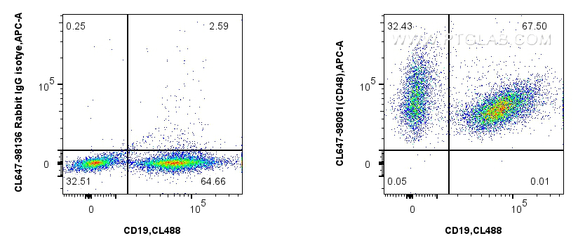 1x10^6 mouse splenocytes were surface stained with CoraLite® Plus 488 Anti-Mouse CD19 (1D3) (<a class='green' href='/productredirect?CatalogNo=CL488-65290' target='_blank'>CL488-65290</a>, Clone: 1D3), and 0.25 ug CoraLite® Plus 647 Anti-Mouse CD48 Rabbit RecAb (CL647-98081, Clone: 240732A5) or CoraLite® Plus 647 Rabbit IgG Isotype Control RecAb (<a class='green' href='/productredirect?CatalogNo=CL647-98136' target='_blank'>CL647-98136</a>, Clone: 240953C9). Cells were not fixed. FC experiment of mouse splenocytes using CL647-98081