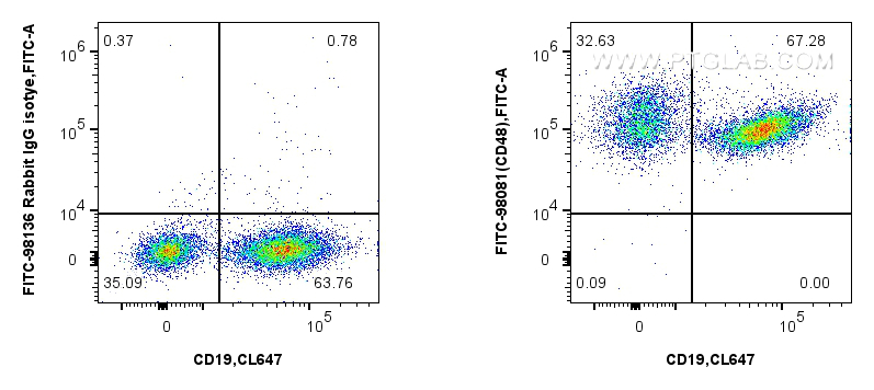 1x10^6 mouse splenocytes were surface stained with CoraLite® Plus 647 Anti-Mouse CD19 (1D3) (<a class='green' href='/productredirect?CatalogNo=CL647-65290' target='_blank'>CL647-65290</a>, Clone: 1D3), and 0.25 ug FITC Plus Anti-Mouse CD48 Rabbit RecAb (FITC-98081, Clone: 240732A5) or FITC Plus Rabbit IgG Isotype Control RecAb (<a class='green' href='/productredirect?CatalogNo=FITC-98136' target='_blank'>FITC-98136</a>, Clone: 240953C9). Cells were not fixed. FC experiment of mouse splenocytes using FITC-98081